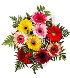 Summer Garden. Gerberas of different colors in an elegant frame of greenery are a great gift for a lady of any age. Give your own garden to her!